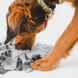 Коврик для нюханья для собак Derby Raccoon Shape Pet Snuffle Mat