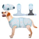 Попона для відновлення собак Wan Talk Recovery Suit, White Stars, 25 см, 33-40 см, 27 см, XS