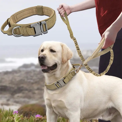 Тактический ошейник с поводком и металлической фурнитурой для собак, Medium
