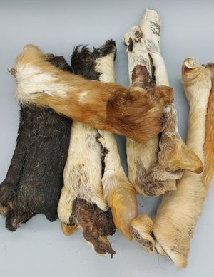 Шкіра косулі з шерстю, косуля, 1 шт.