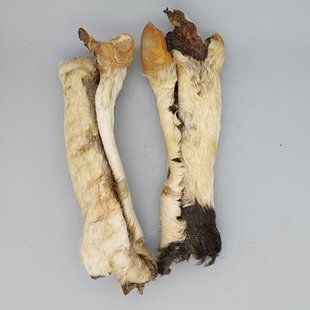 Шкіра косулі з шерстю, косуля, 1 шт.