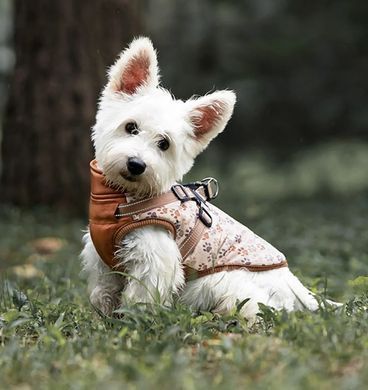 Зимова куртка для собак V.PET.B.R. Luxury Dog Jacket C519 Brown Paw, 38,5 см, 59 см, 37 см, 2XL