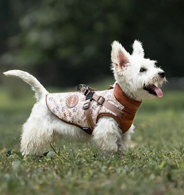 Зимова куртка для собак V.PET.B.R. Luxury Dog Jacket C519 Brown Paw, 38,5 см, 59 см, 37 см, 2XL