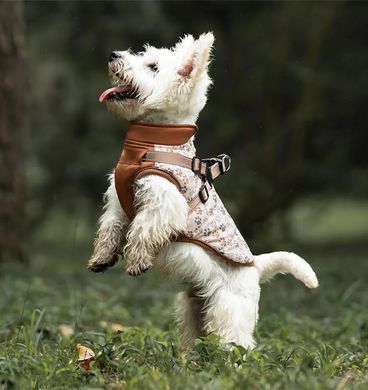 Зимова куртка для собак V.PET.B.R. Luxury Dog Jacket C519 Brown Paw, 38,5 см, 59 см, 37 см, 2XL