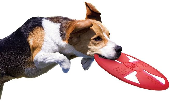 Фрізбі для собак Nerf Dog TPR Float Flyer, Medium/Large