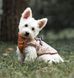 Зимова куртка для собак V.PET.B.R. Luxury Dog Jacket C519 Brown Paw, 38,5 см, 59 см, 37 см, 2XL
