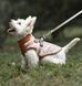 Зимова куртка для собак V.PET.B.R. Luxury Dog Jacket C519 Brown Paw, 38,5 см, 59 см, 37 см, 2XL