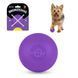 Игрушка для собак Bronzedog Superball 5 см фиолетовый
