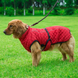 Зимнее пальто для собак Derby D84 Red, 41 см, 64-72 см, 51 см, S