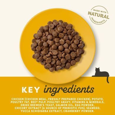 Сухой корм для пожилых кошек Applaws Senior Chicken + пробиотик, 2 кг