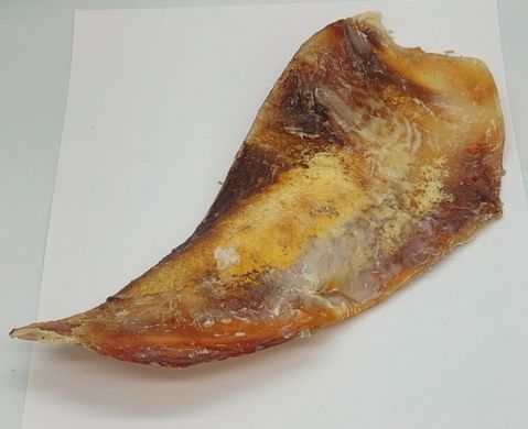 Плечовий хрящ великої рогатої худоби, яловичина, 1 шт.