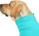 Комбинезон для восстановления собак Derby Pet Recovery Suite, Turquoise, 73 см, 86 см, 48 см, 3XL