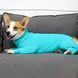 Комбинезон для восстановления собак Derby Pet Recovery Suite, Turquoise, 73 см, 86 см, 48 см, 3XL