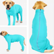 Комбинезон для восстановления собак Derby Pet Recovery Suite, Turquoise, 73 см, 86 см, 48 см, 3XL