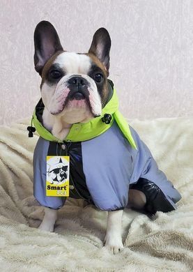 Комбинезон Smart Pet Grogu, 30-33 см, 46-57 см, S3