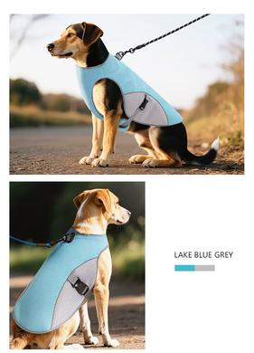 Летний охлаждающий жилет для собак Derby Summer Dog Cooling Harness PA0360-2 Blue, 35 см, 42-50 см, 30-36 см, S