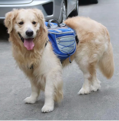 Сумка-переноска для собак с передней частью для бега Lovoyager Dog Bagpack, Синий, Large