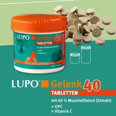 Luposan GelenkKraft 40 Tabletten, 180 г, Таблетки, 90 шт.