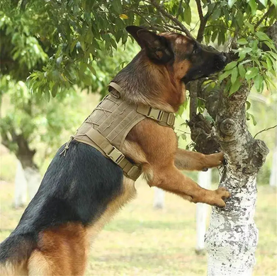 Нейлонова тактична шлея для собак Derby Nylon Tactical Dog Harness, Хаки, Large