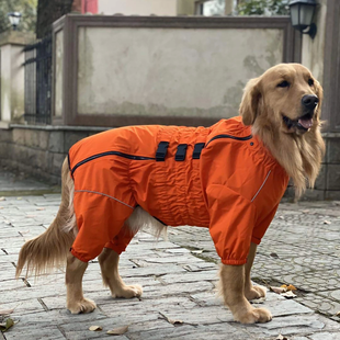 Комбинезон-дождевик для собак Derby Dog Suit Orange, 31-36 см, 31-41 см, 23-29 см, S