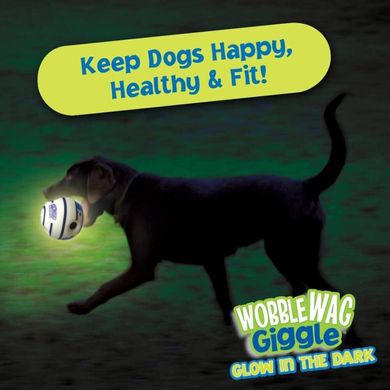 Інтерактивна світна іграшка-м'яч для собак Wobble Wag Giggle Ball