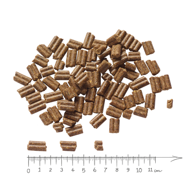 Сухой корм для взрослых собак мелких пород Markus-Muhle Black Angus Adult Mini Pellets с говядиной, 5 кг