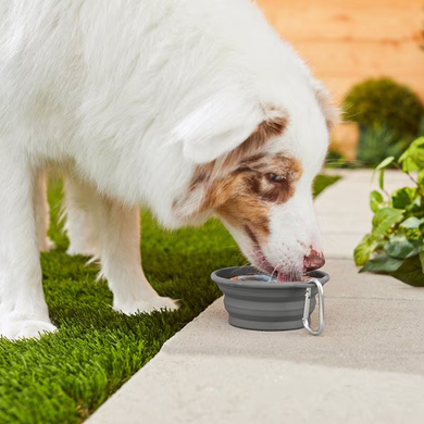 Силіконова складна дорожня миска Derby Collapsible silicone pet bowl, серый, 400 мл