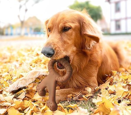 Игрушка для жевания для собак Derby Double Bone Tug Toy