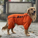 Комбинезон-дождевик для собак Derby Dog Suit Orange, 31-36 см, 31-41 см, 23-29 см, S
