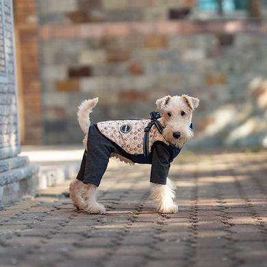Зимова куртка для собак V.PET.B.R. Luxury Dog Jacket C519 Navy Blue, 38,5 см, 59 см, 37 см, 2XL