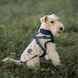 Зимова куртка для собак V.PET.B.R. Luxury Dog Jacket C519 Navy Blue, 38,5 см, 59 см, 37 см, 2XL