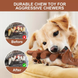 Іграшка для жування для собак Derby Triceratops Shaped Dog Chew Toy