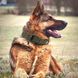 Регульований нейлоновий нашийник для дресирування службових і домашніх собак, Оливковый, Large