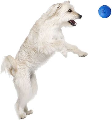 Мячик для собак с пищалкой Nerf Dog Soccer Squeak Ball, Синий, Large, 1 шт.