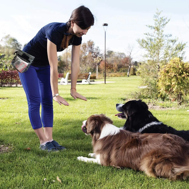 Сумка для вигулу і тренувань собак Voyager Pet Nylon Waterproof Dog Treat Training Pouch grey