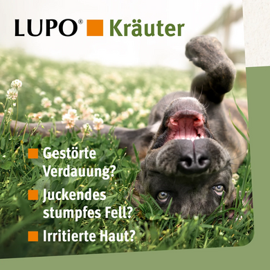 Мультивитаминный комплекс для собак LUPO Krauter Pellets, 375 г, Пеллеты