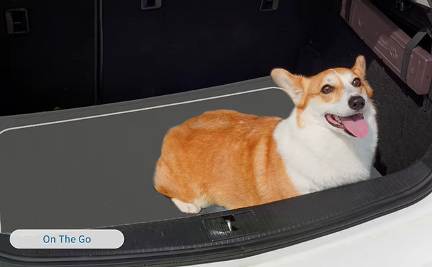 Летняя охлаждающая подстилка для собак Derby Ice Silk Summer Pet Cooling Mat Dogs Smile, 85х120 см