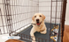Летняя охлаждающая подстилка для собак Derby Ice Silk Summer Pet Cooling Mat Dogs Smile, 85х120 см