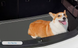 Летняя охлаждающая подстилка для собак Derby Ice Silk Summer Pet Cooling Mat Dogs Smile, 85х120 см