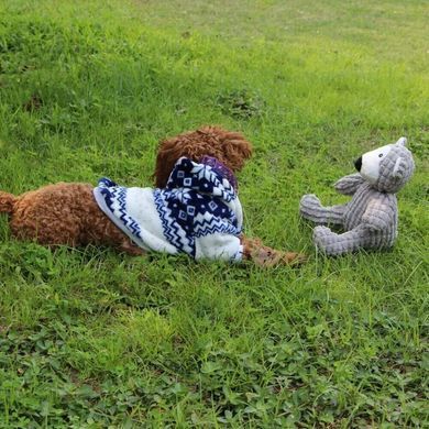М'яка іграшка для собак IFOYO Bear з пищалкою