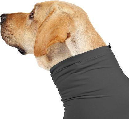 Комбінезон для відновлення собак Derby Pet Recovery Suite, Black, 73 см, 86 см, 48 см, 3XL
