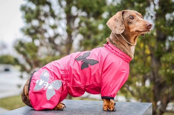 Комбинезон Smart Pet Бабочка, 26-29 см, 43-52 см, S2p