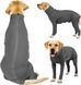 Комбінезон для відновлення собак Derby Pet Recovery Suite, Black, 73 см, 86 см, 48 см, 3XL