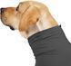 Комбінезон для відновлення собак Derby Pet Recovery Suite, Black, 73 см, 86 см, 48 см, 3XL