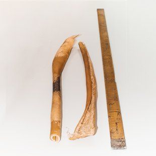 Шкіра яловича 60 см, 1 шт., яловичина, 1 шт.