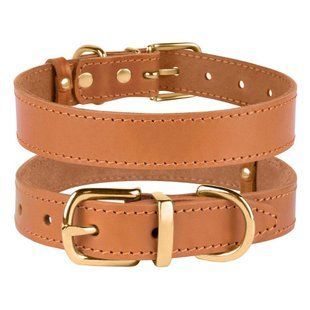 Ошейник для Собак Кожаный BronzeDog Classic с Литой Латунной Фурнитурой Горчичный