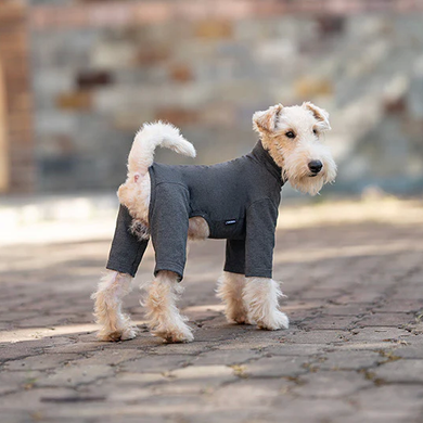 Базовый комбинезон/пижама для собак V.PET.B.R. Dog Jumpsuit CF36 Dark Grey, 46 см, 60 см, 36 см, 2XL