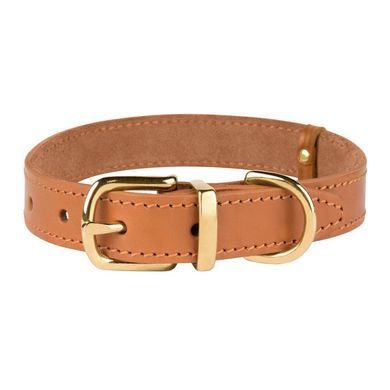 Ошейник для Собак Кожаный BronzeDog Classic с Литой Латунной Фурнитурой Горчичный