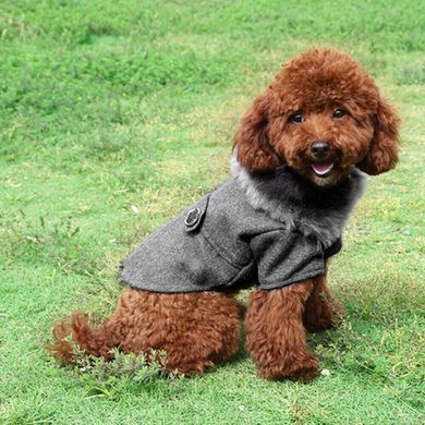 Пальто з хутряним коміром для собак Derby Grey, 20 см, 29-30 см, 20-21 см, S