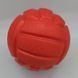 Великий волейбольний м'яч для собак зі звуком Bonny TPR Pet Teething Dog Chew Toy, Червоний, Large